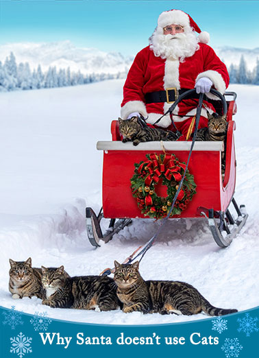 Santa Use Cats Funny Christmas  Funny A funny Christmas card of why Santa doesn't use cats. | merry Christmas Santa use cats sleigh wreath north pole funny humorous meow  Meowy Christmas